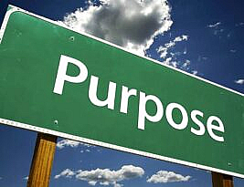 How To Find Your Specific Purpose in Life